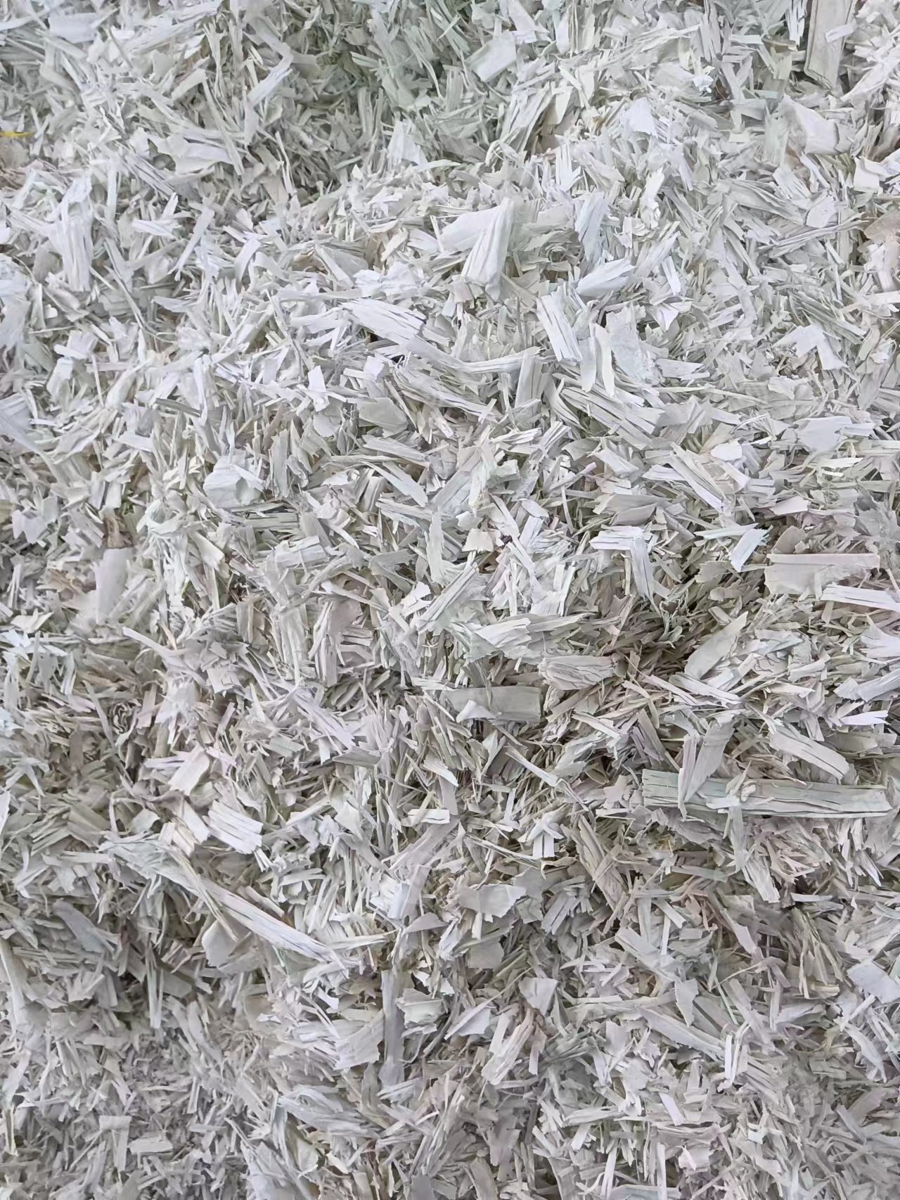 出售白色pp填充绳破碎料,全沉;现货几十吨