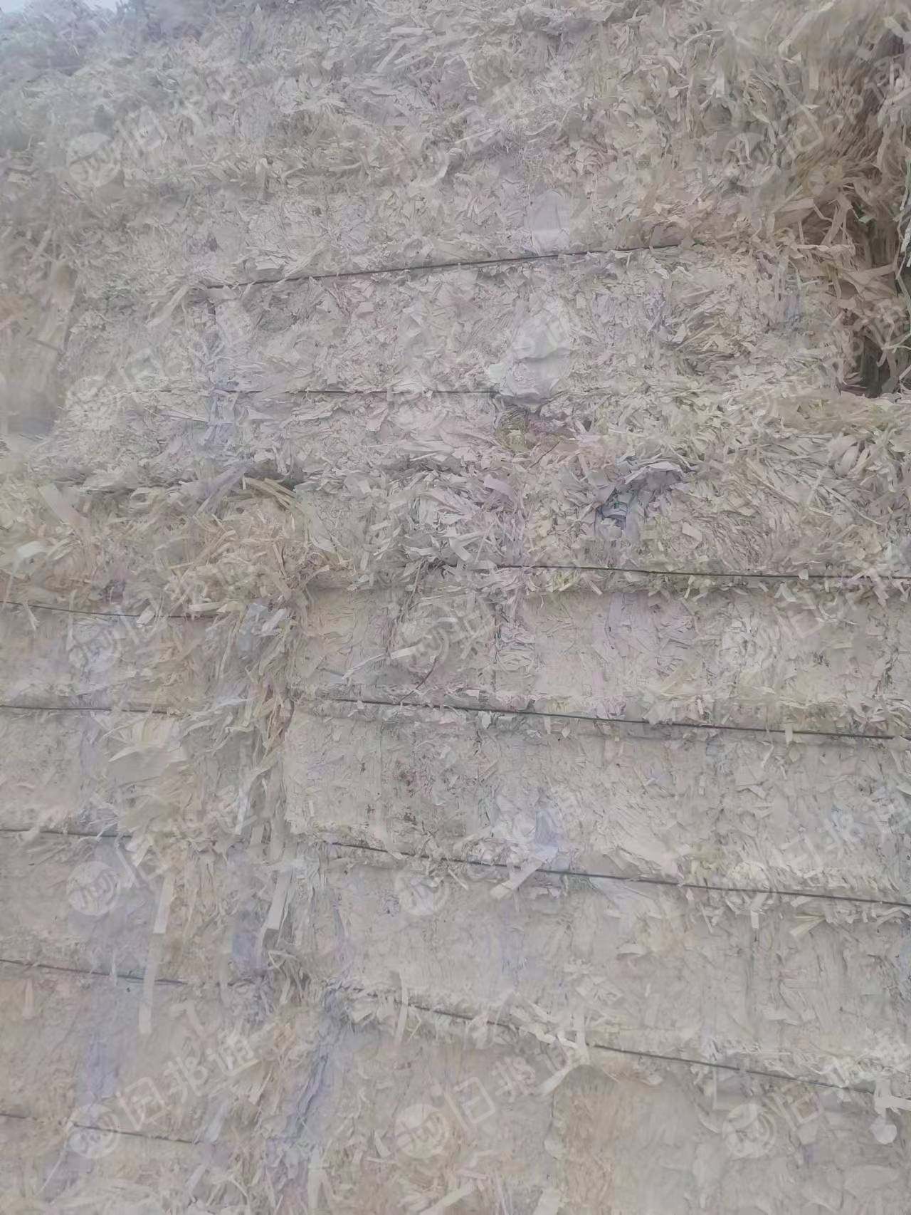 出售白色双胶纸废料,不带胶头,带的线属于二级白,长期有货,河北保定提货