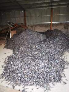 长期供应铁皮撕碎料，破碎料，每天加工30吨，山东广饶提货