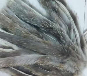 长期供应狐狸貉子毛领毛条，衣服拉链扣子，旧袄皮