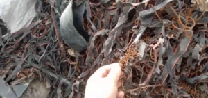 出售橡胶鱼胶条，现货一车