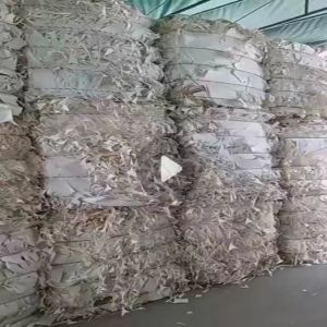 供应口杯纸边角料，90%是纯白的，月供50吨