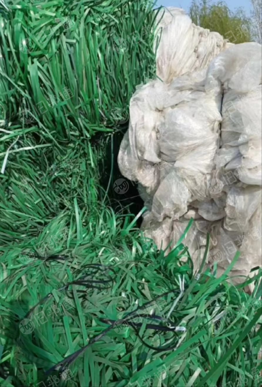 长年出售PET打包带毛料,塑钢打包带毛料