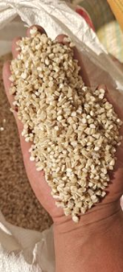 长期出售复合颗粒、PP/PE复合颗粒，PE/PET复合颗粒，PP/PET复合颗粒，PE/PA颗粒