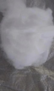 出售开花棉，可纺织！