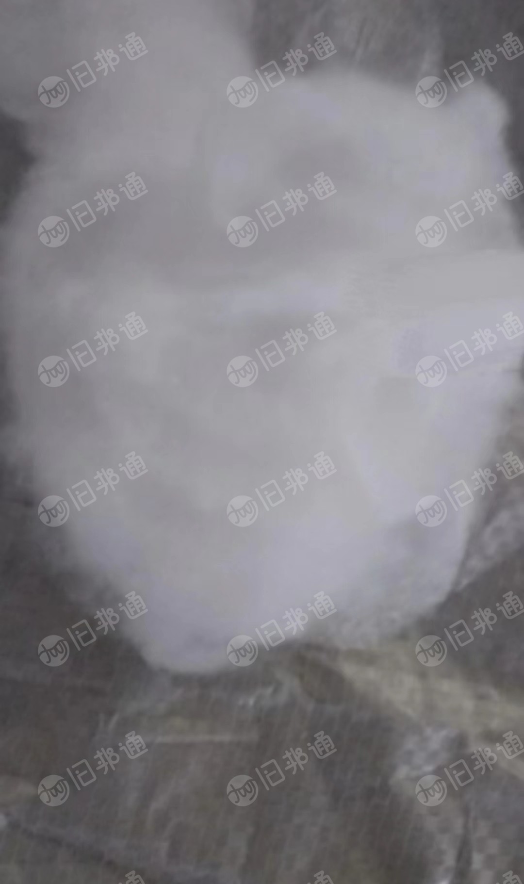 出售开花棉,可纺织!
