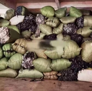 常年出售牛仔碎布，可褪色