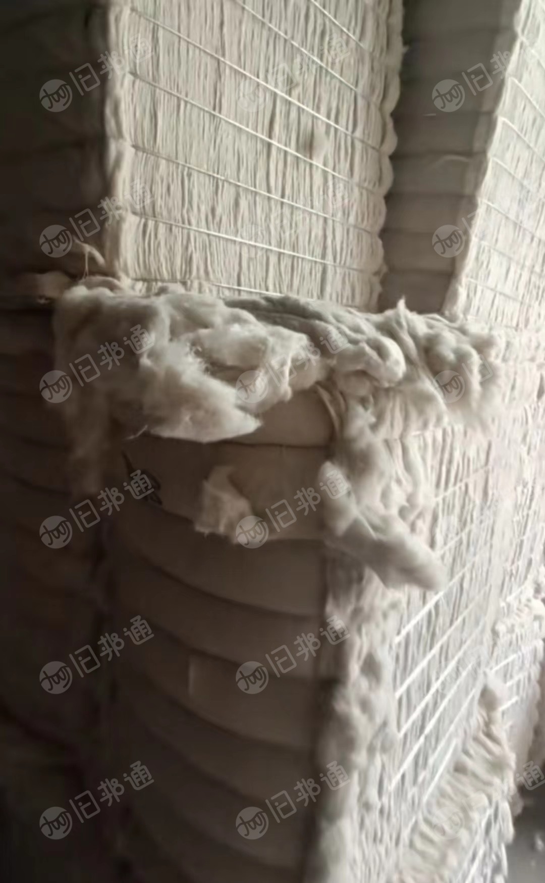 山东出售各种皮棉,地产棉,新疆棉,外棉,提净棉等!