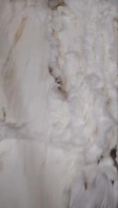 长期出售开花料