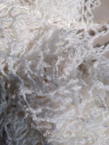 供应各种废纱全棉涤棉大化中化的布边浆纱回丝！