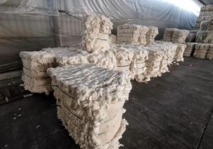 长期出售纯棉车肚