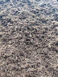 长期供应木纤维浆，适合生产纱管纸用，每个月供1000吨