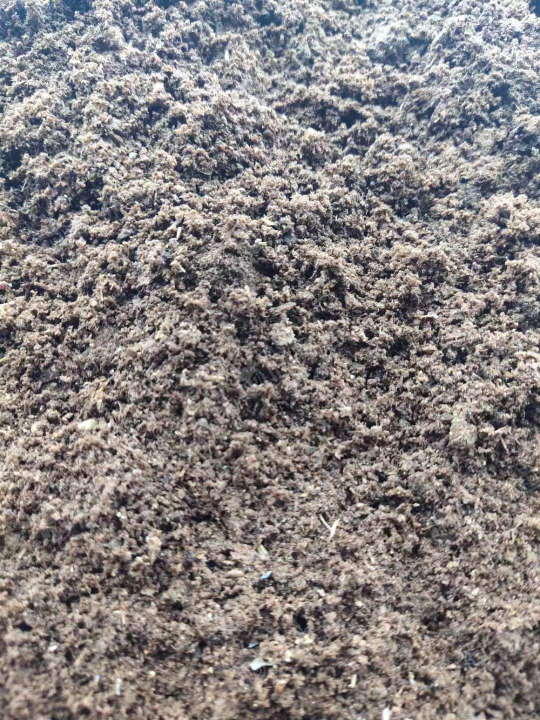 长期供应木纤维浆,适合生产纱管纸用,每个月供1000吨