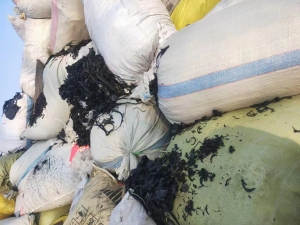 大量收各种废胶边，三元乙丙废胶边，黑橡胶废胶边，跑道料，废氟胶边！