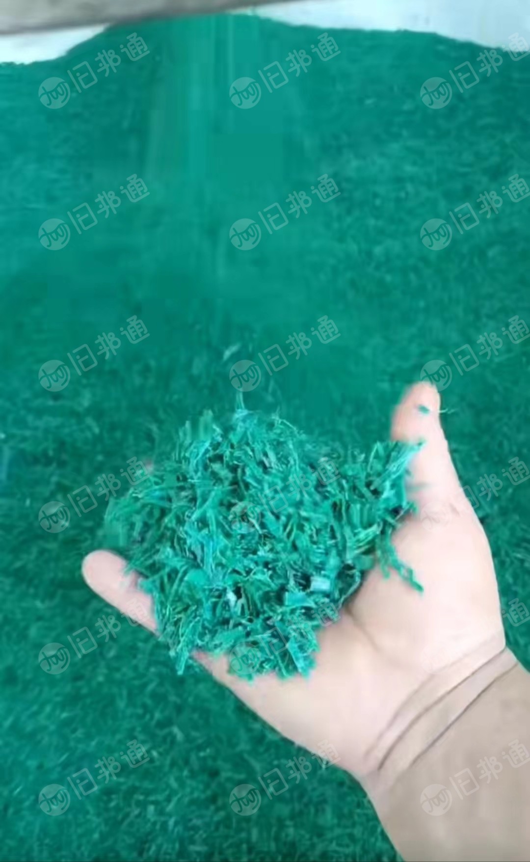 常年出售PET打包带破碎料,干净无杂质