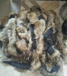 浙江售环纺蓝浆，现货30吨！