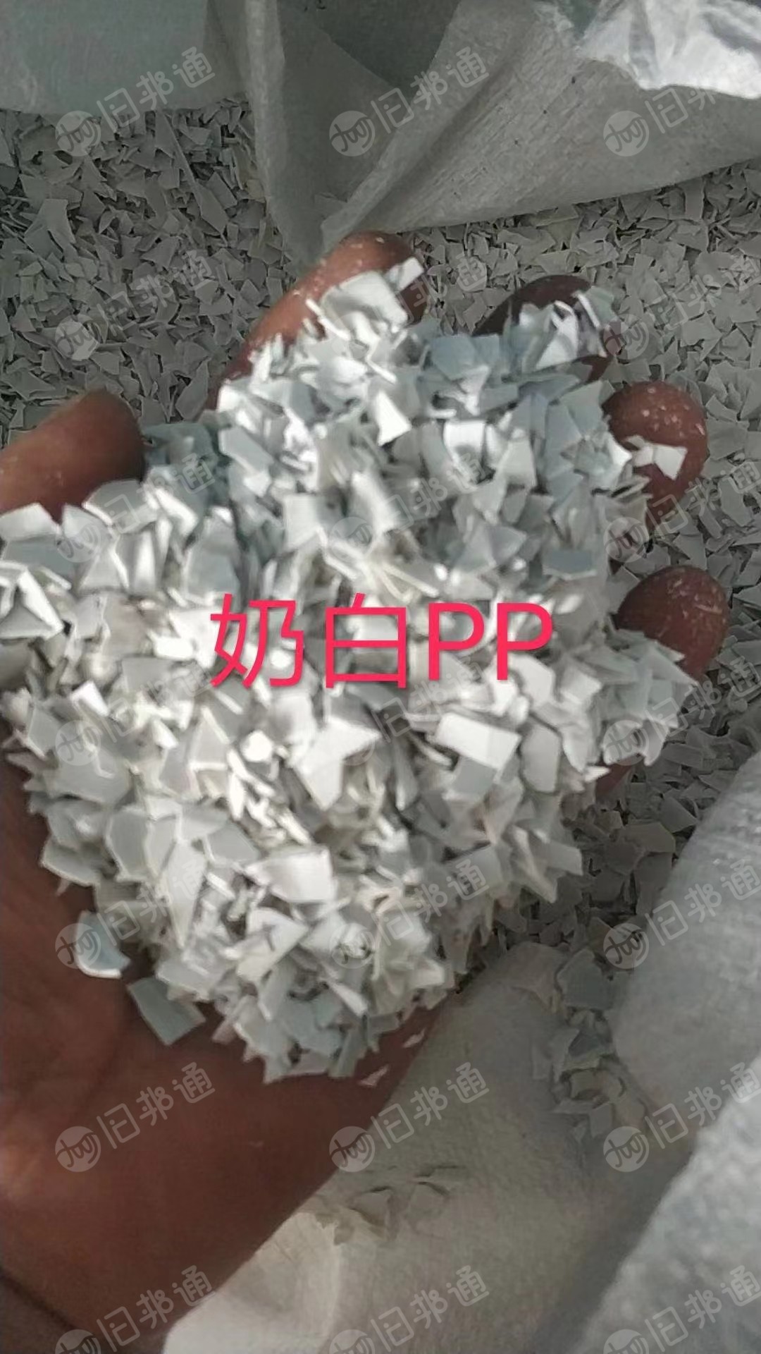 出售PP吸塑片破碎料,奶白黑色都有,现货够车
