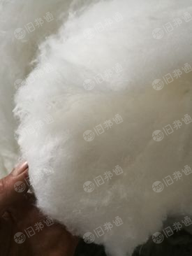 常年出售白色(化纤棉)再生棉 ,化纤材质,适用范围:做针刺棉,无纺布,土工布,热熔毡,家纺等,月供200吨