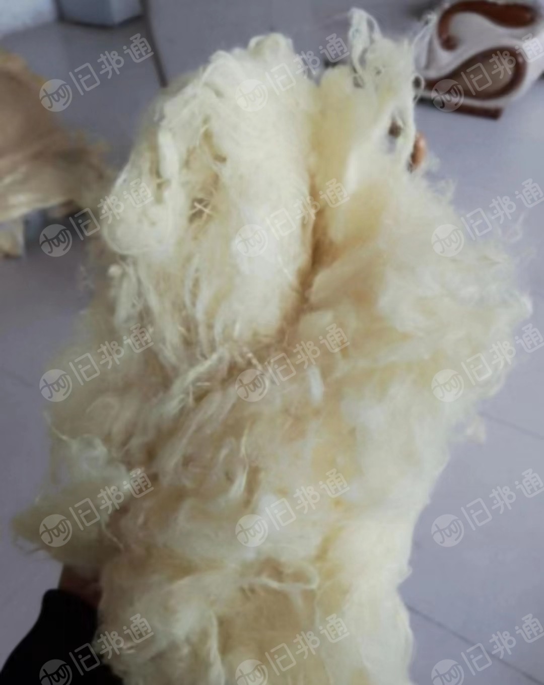 长期供应大化棉,粘胶棉,天丝棉,涤粘棉。