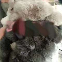 浙江杭州皮毛皮草毛领毛条帽条