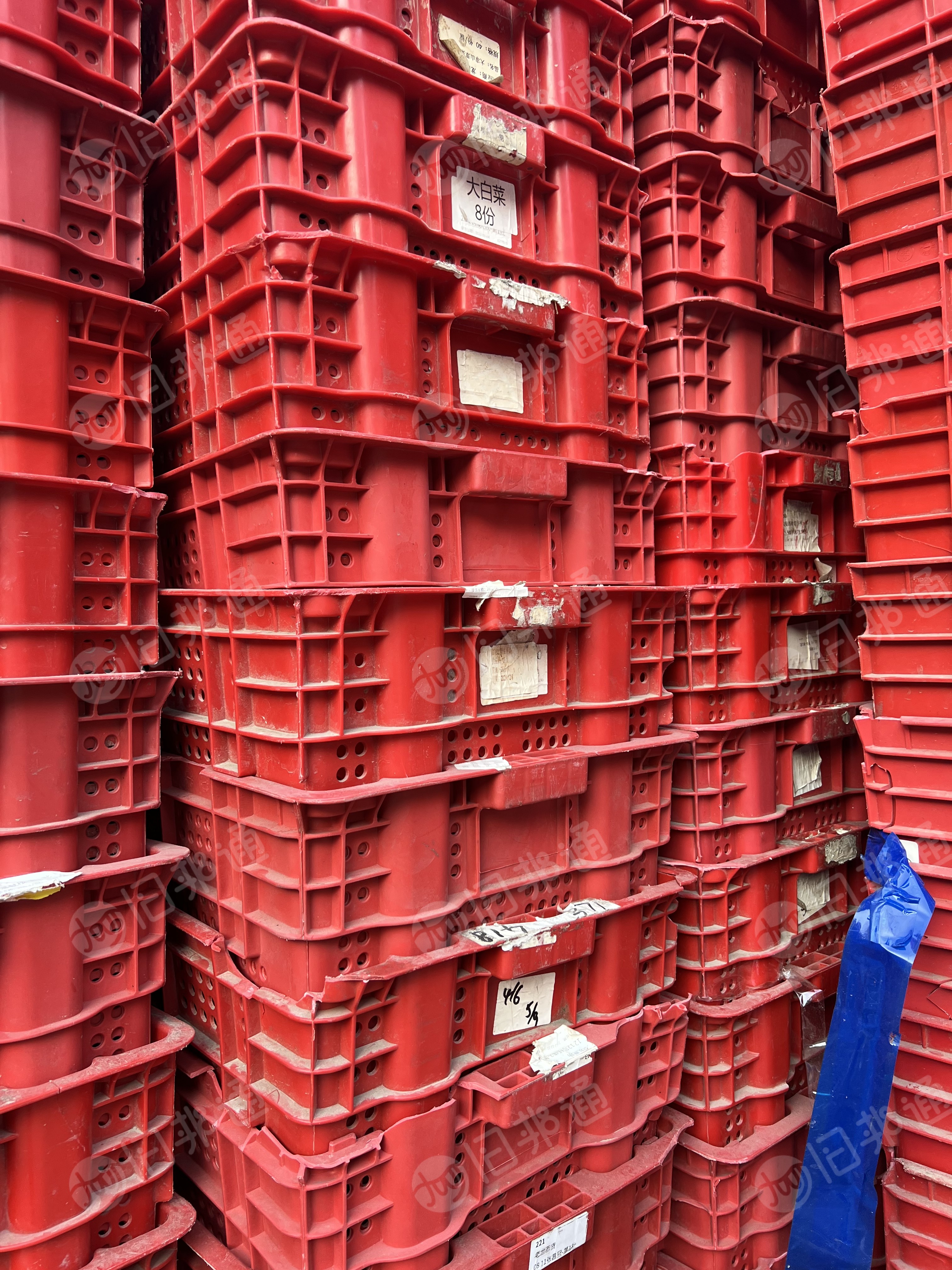 长期大量供应PP红色周转筐废料，HDPE绿色蓝色卡板毛料，