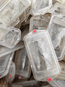 出售PC灯罩，灯芯，ABS合金料，车间杂尼龙，尾灯，内饰等废料破碎料