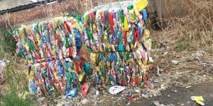 大量收购花乙压块，要求质量好