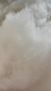 河南售牛仔开松棉95棉，需要的老板联系