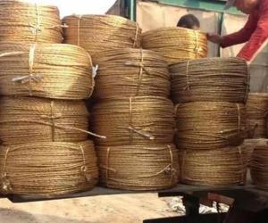 长期出售黄金绳废纸打包绳，大棚压膜绳，养殖用绳