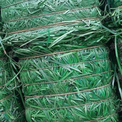 长期出售PET打包带毛料,塑钢带毛料,聚酯打包带毛料