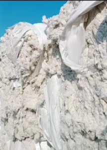 供应纺纱原料2%的涤98%的棉混纺车肚