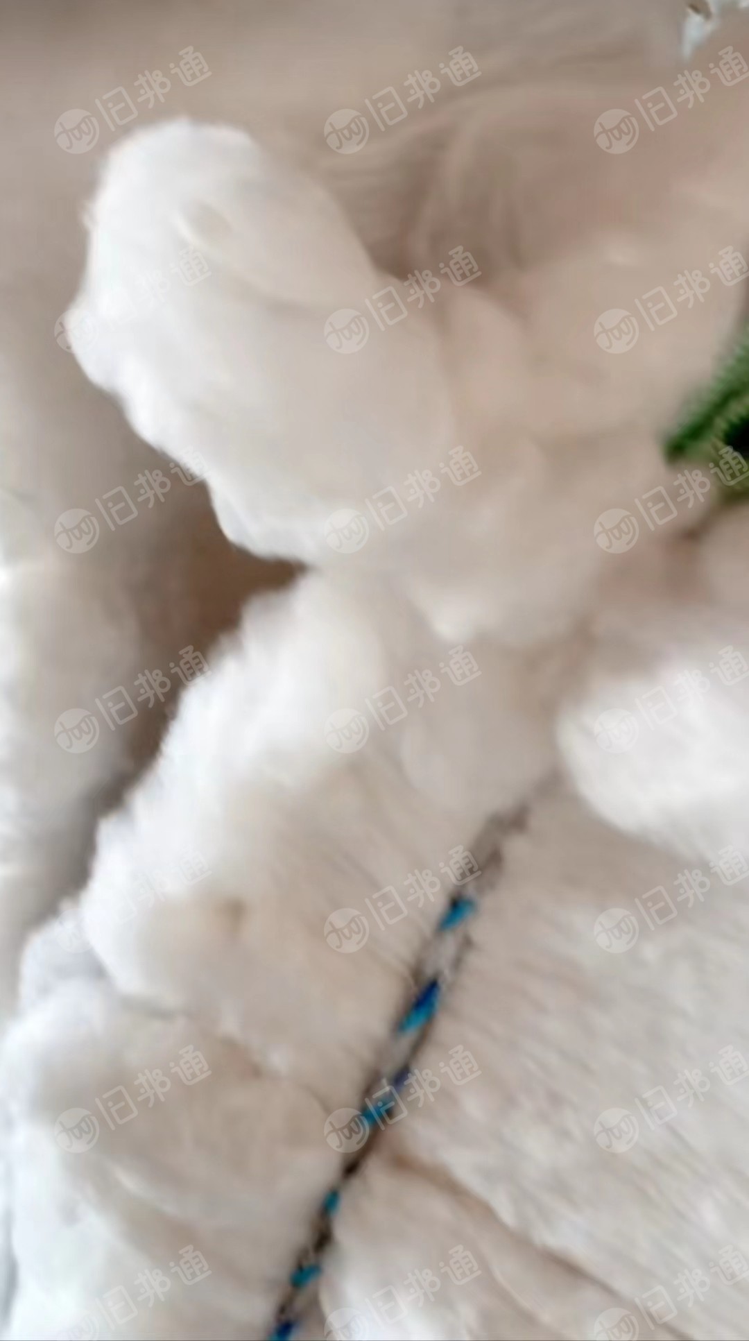 山东精品漂白涤棉再生棉供应,可纺16之21,可以用的老板联系!