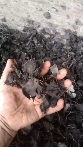 出售纯电摩胎胶块，现货30吨