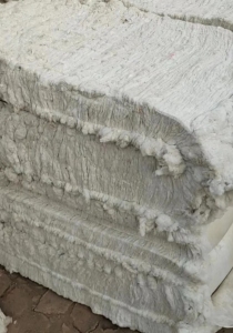 山东纯棉精梳无三丝车肚11吨，有需要的老板联系