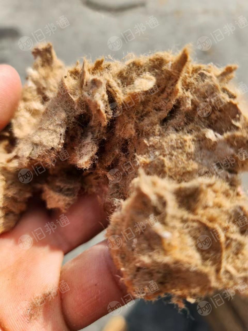 供应美废干磨浆12号/13号,月供几千吨,山东青岛港提货