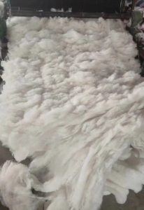 广东出售各种牛仔棉，95.85.70棉，白色纯棉，黑色棉布!