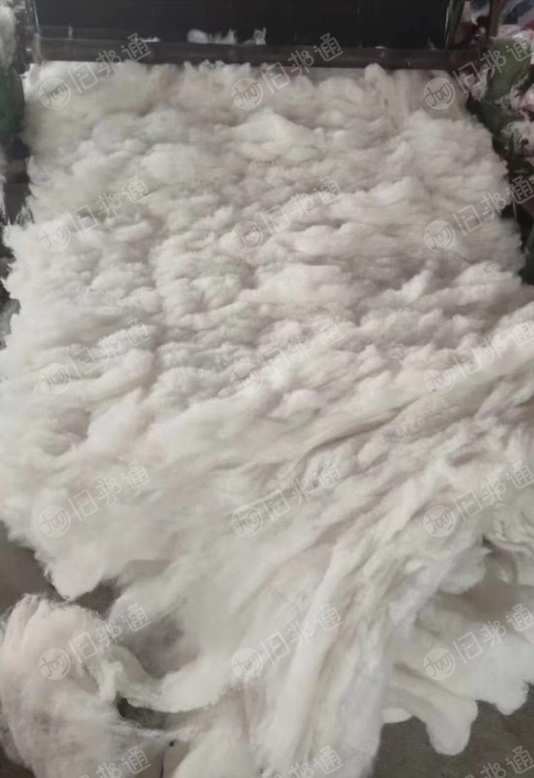 广东出售各种牛仔棉,95.85.70棉,白色纯棉,黑色棉布!