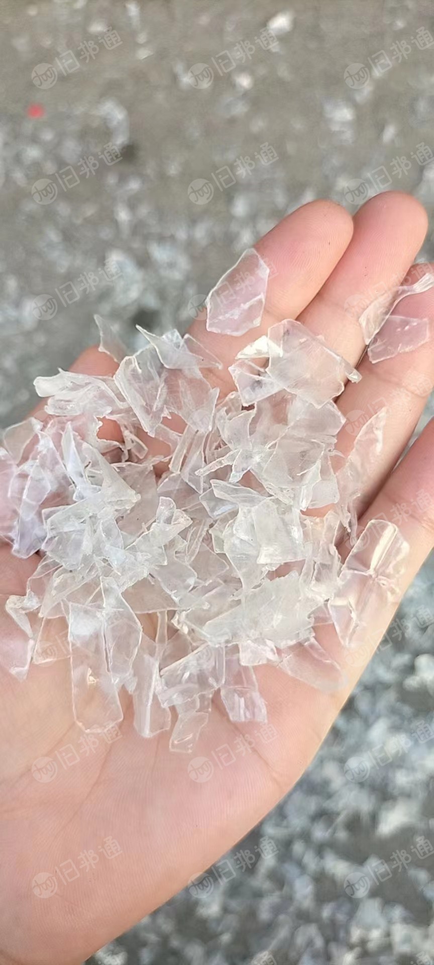 大量采购热洗绿片(可直接上机);冷洗、热洗3A瓶片;优质冷洗纯白片;毛瓶片