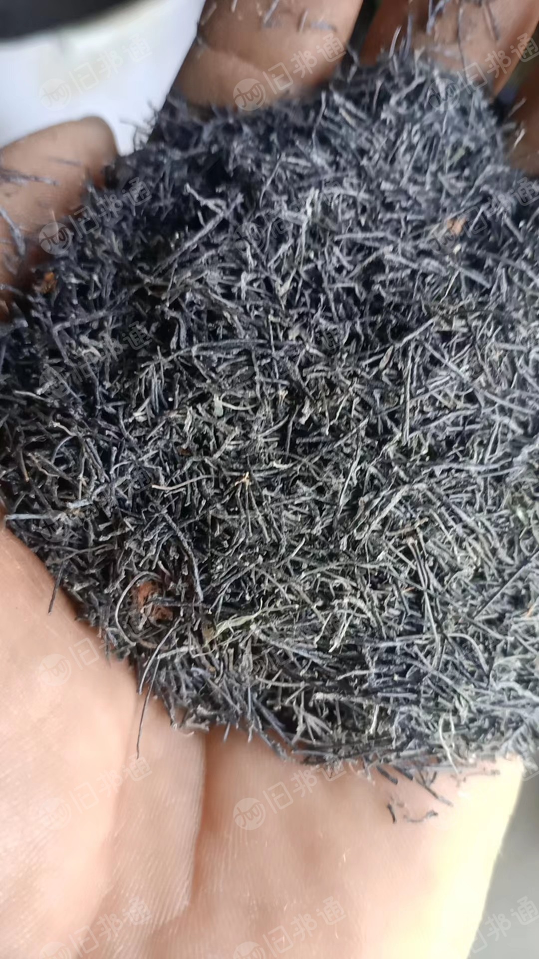 出售PET黑丝,清洗甩干,可打磨用,现货近百吨
