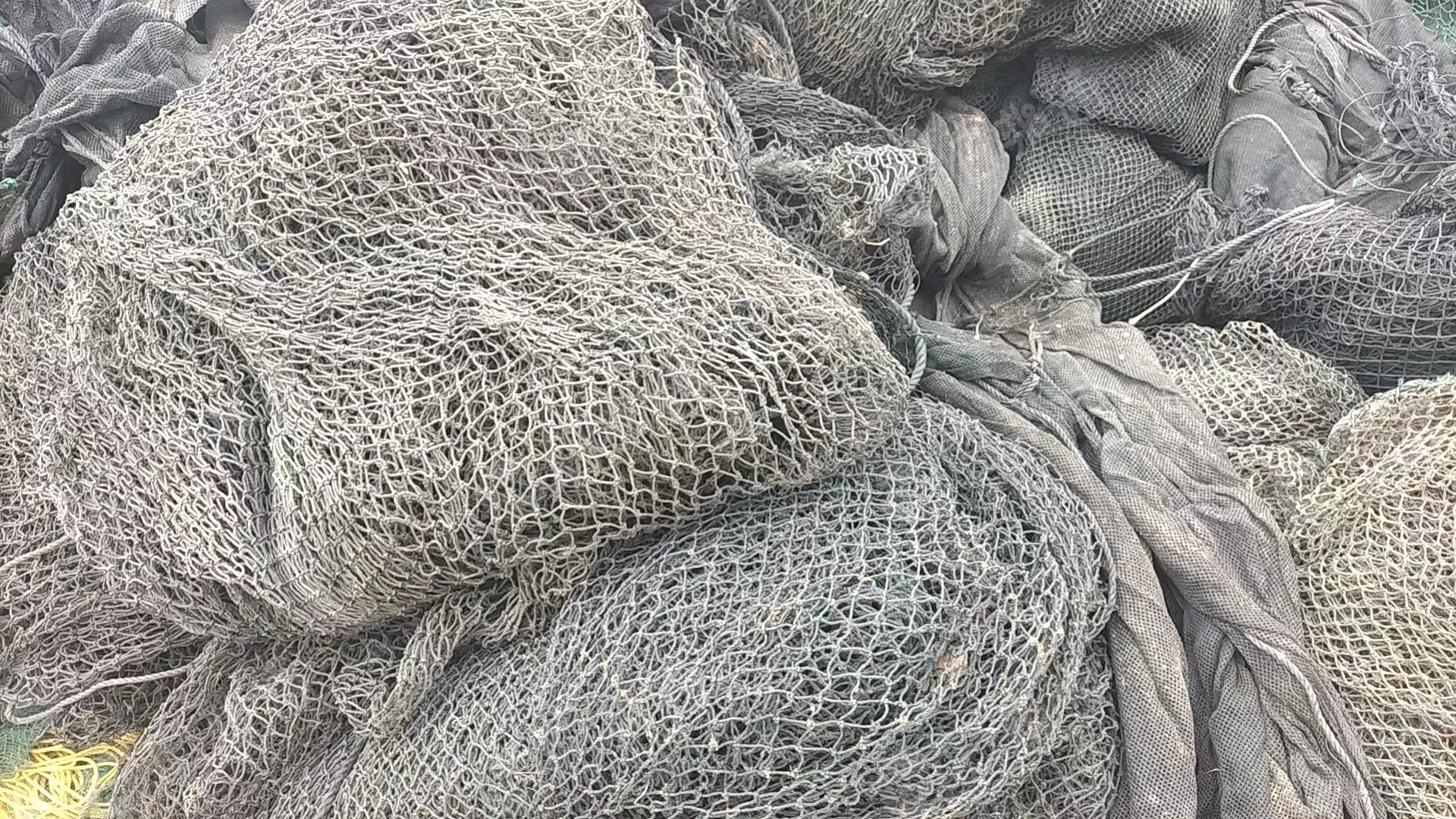常年大量回收PE渔网废料，PE网料，要求干净无杂质