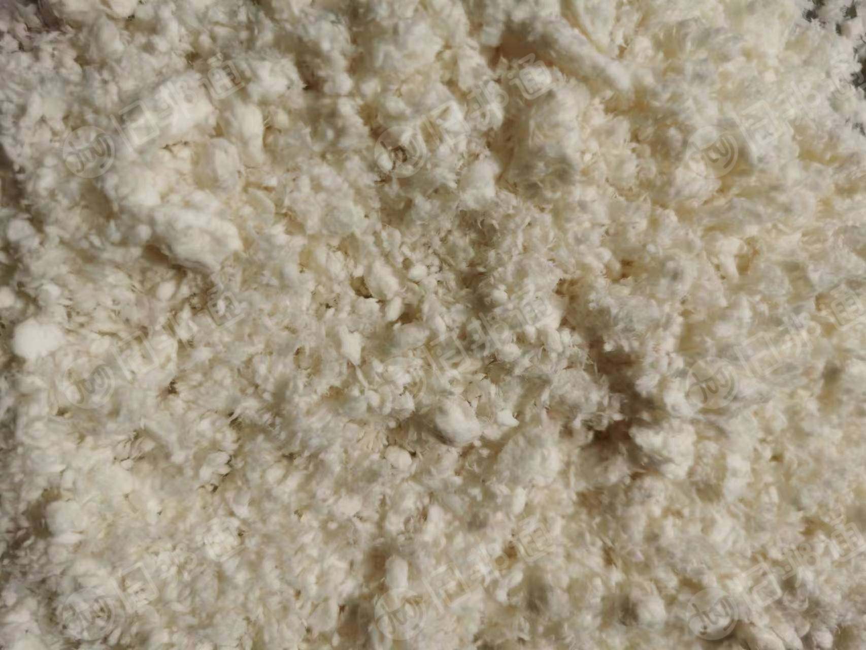供应杨木化机浆,白度77,湿度2.0左右,拉力1000左右,长期大量现货