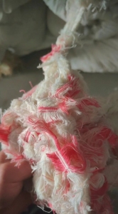 河北出售浅色涤棉，大量现货！