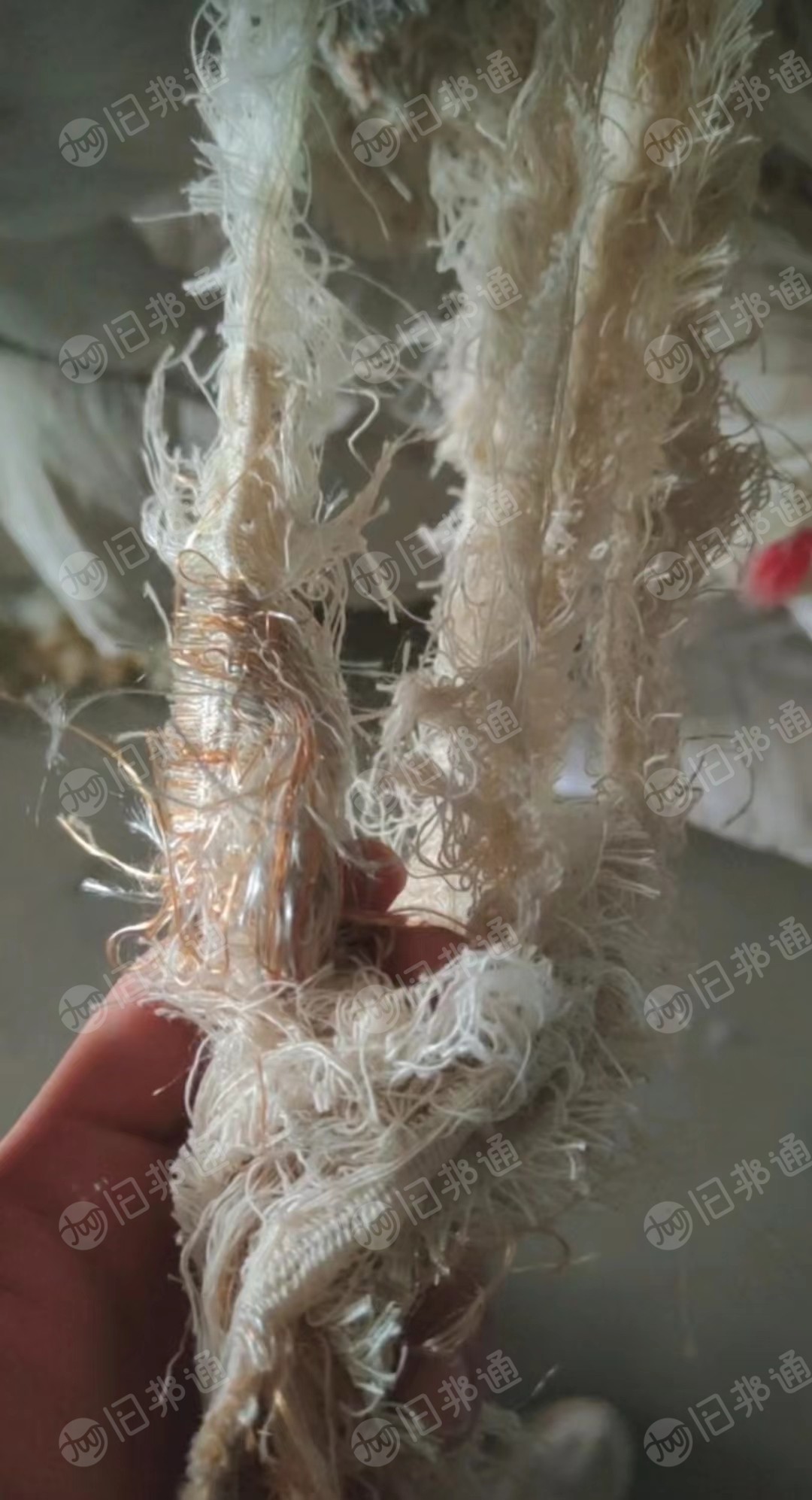 河北出售浅色涤棉,大量现货!