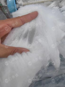 专业生产精梳涤棉开丝棉全系列,高中低档次