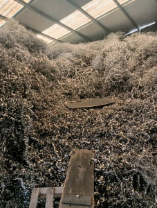 出售304不锈钢刨花，干净无杂质，现货70吨