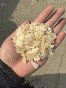 出售PP蘑菇瓶破碎料，干净无杂质，纯干，直接上机