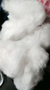 常年出售白色化纤棉，再生棉
