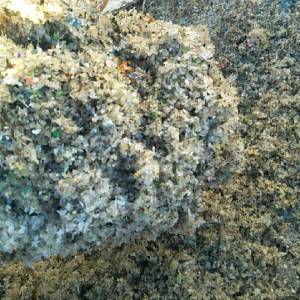 求购甩干机出来的矿泉水瓶沫子