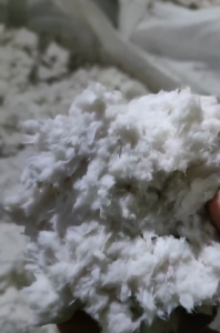 长期供应木棉浆，用卫生巾尿不湿棉加工，含水70%，月供400吨