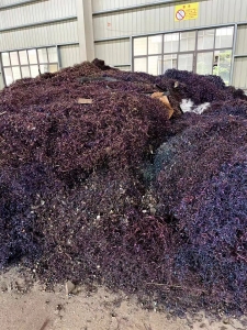 长期大量求购熟铁刨花料，月需500吨